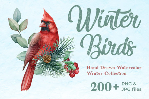 A Watercolor World of Winter Birds