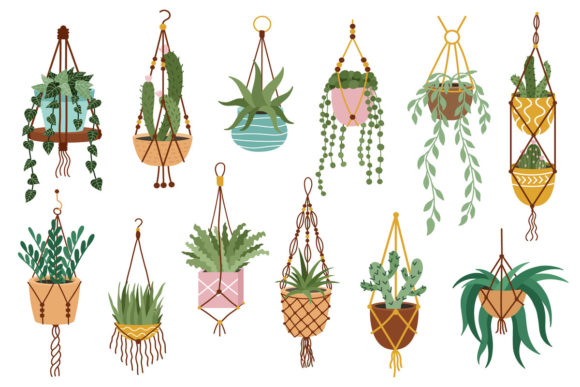 Enhance Your Space with Plant in Hanging Pots