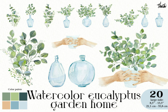 Explore Watercolor Eucalyptus Garden Clipart