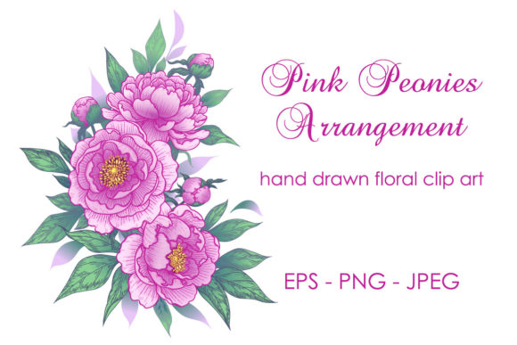 Hand Drawn Pink Peony Flowers: A Versatile and Elegant Design Choice