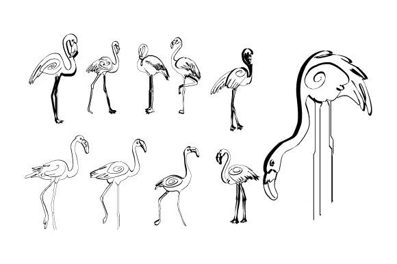 Line Abstract Flamingo Boho: A Versatile Design Gem