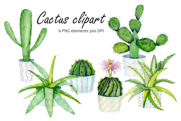 Watercolor Cactuses for Creative Projects