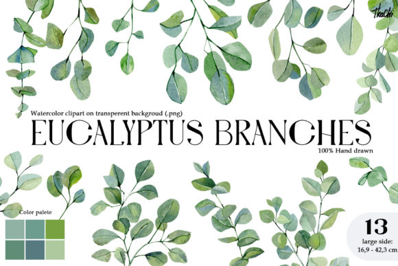 Watercolor Eucalyptus Branch for Creative Projects